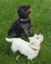 Load image into Gallery viewer, Dog Collar