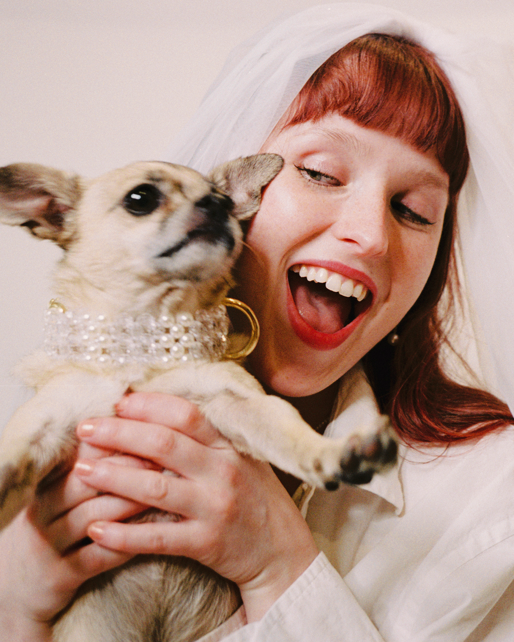 Dog Collar and Leash