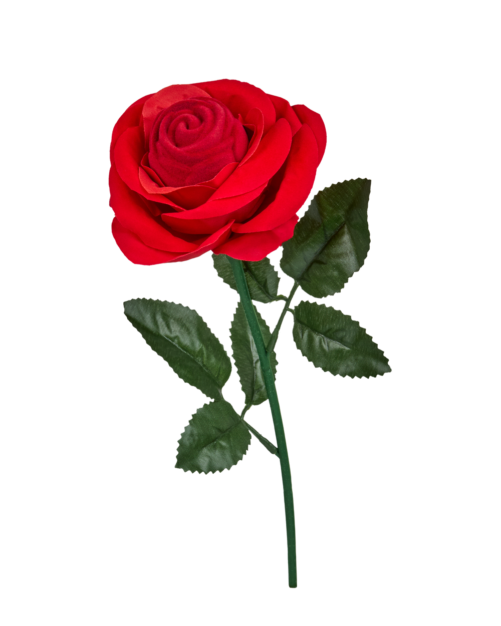 Red Rose Ring Box