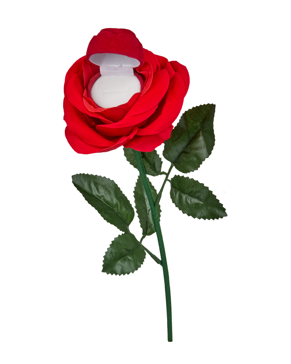 Red Rose Ring Box
