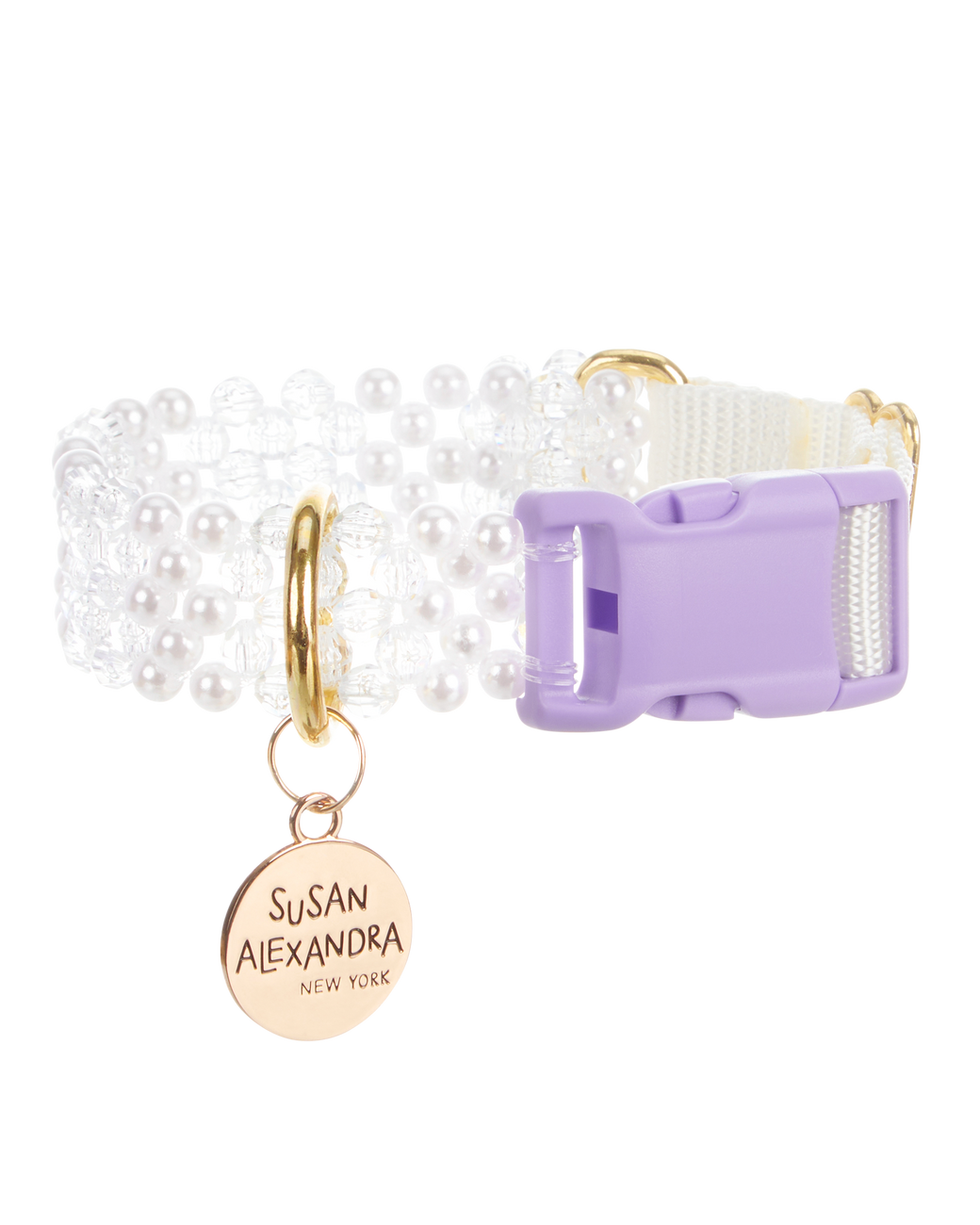 Dog Collar and Leash