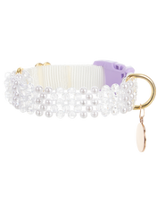 Load image into Gallery viewer, Dog Collar and Leash