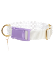 Load image into Gallery viewer, Dog Collar and Leash