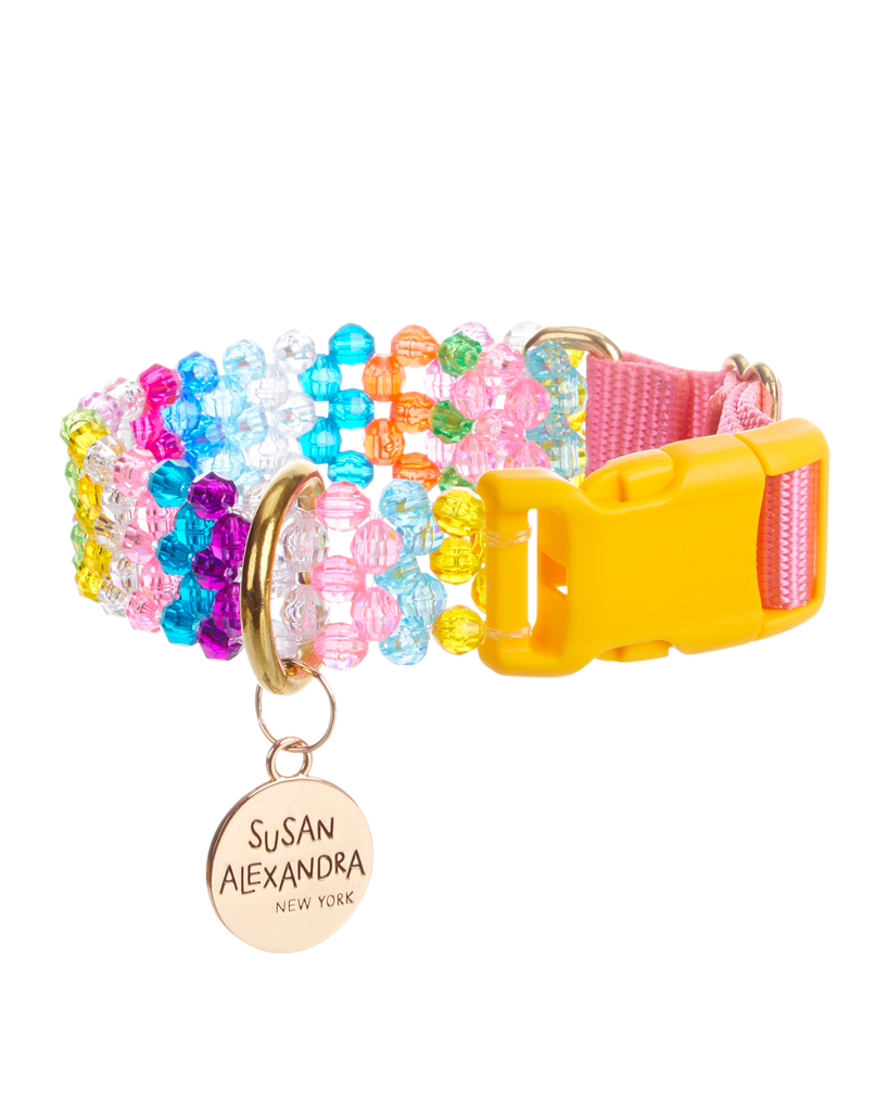 Dog Collar and Leash Susan Alexandra