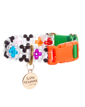 Load image into Gallery viewer, Dog Collar and Leash