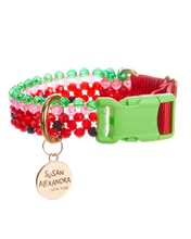 Load image into Gallery viewer, Dog Collar and Leash