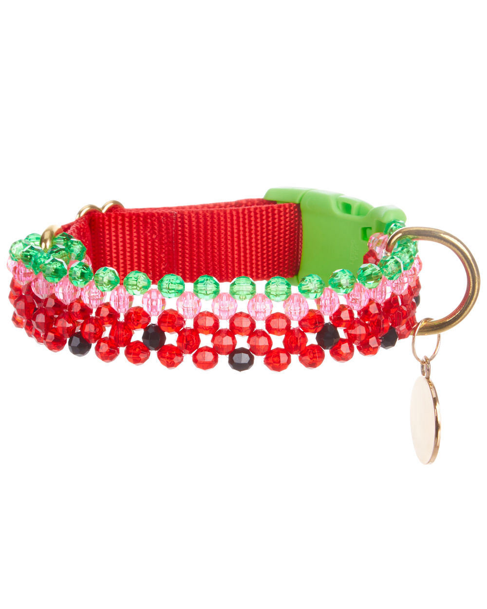 Watermelon Dog Collar and Leash