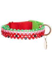 Load image into Gallery viewer, Dog Collar and Leash