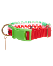Load image into Gallery viewer, Dog Collar and Leash