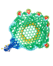 Load image into Gallery viewer, Peacock Fruit Bowl