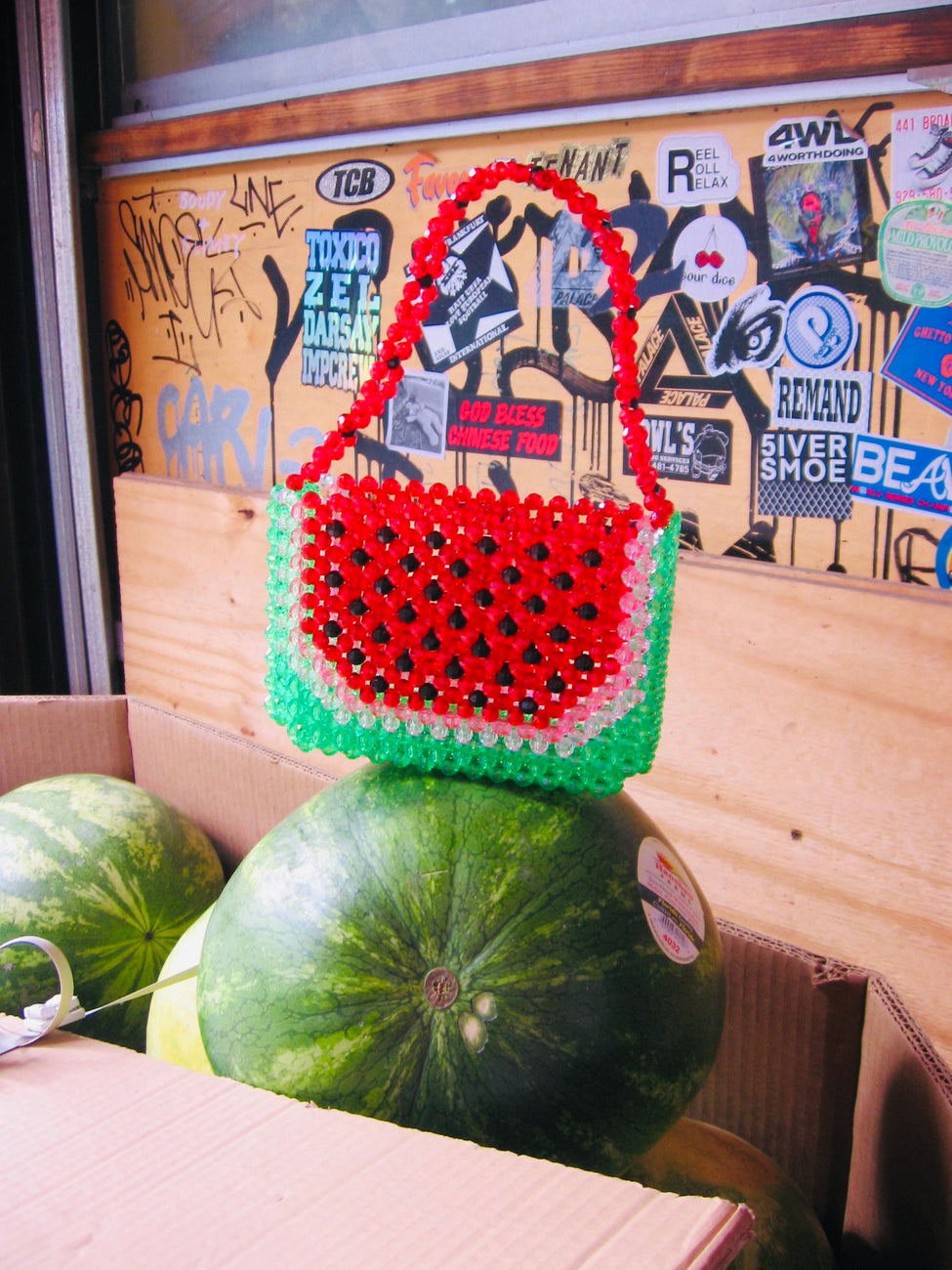 Mini Watermelon Dream Bag