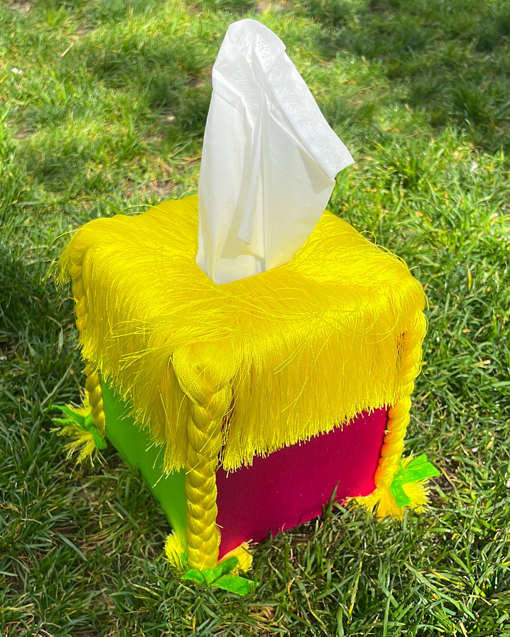 Hairdo Tissue Box