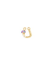 Load image into Gallery viewer, Spells &amp; Numbers Lucky Charms