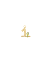 Load image into Gallery viewer, Spells &amp; Numbers Lucky Charms