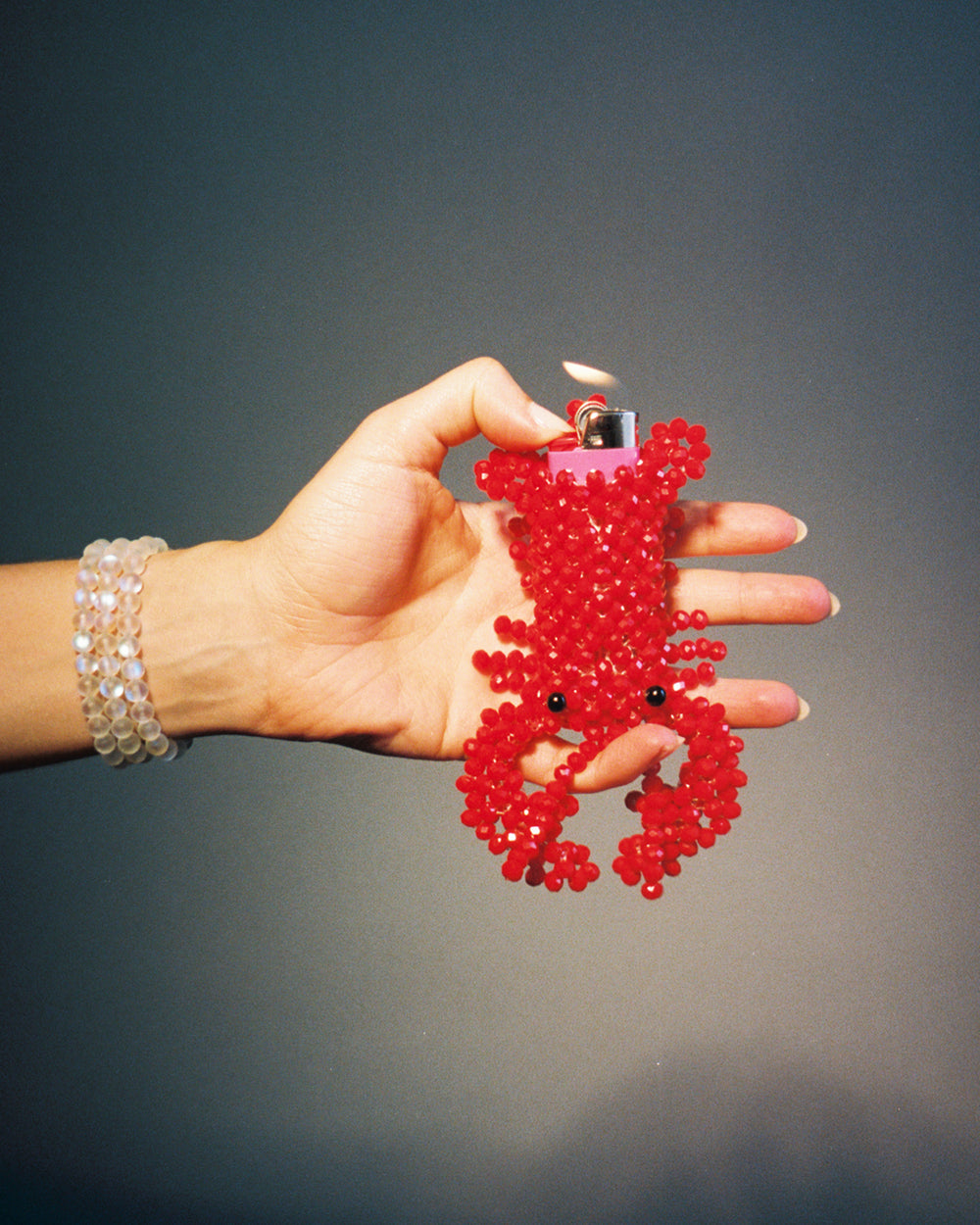 Lobster Lighter Case