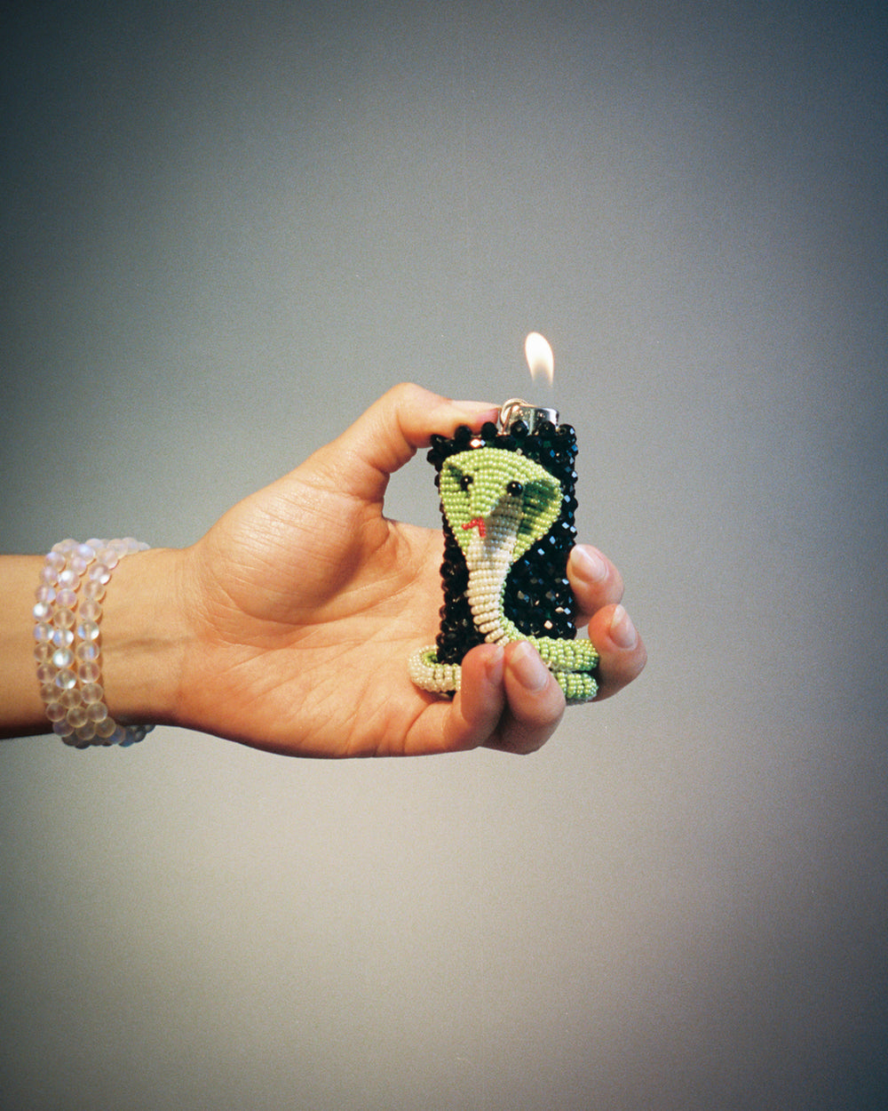 Python Lighter Case