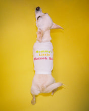 Load image into Gallery viewer, Mommy / Daddy&#39;s Little Matzoh Ball Tee - Dog