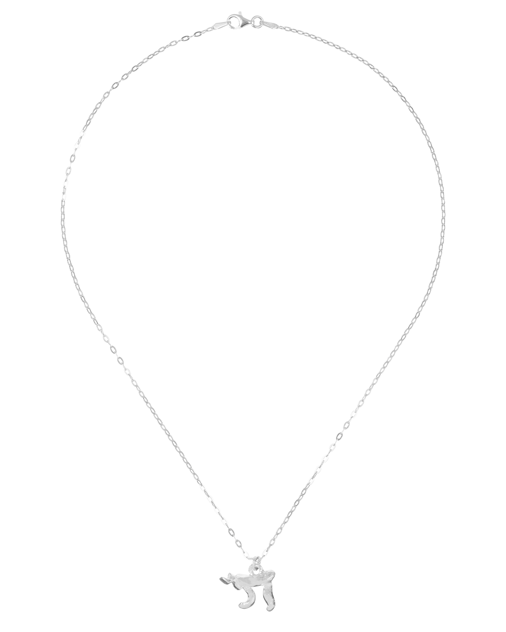 Judaica Necklace in Sterling Silver