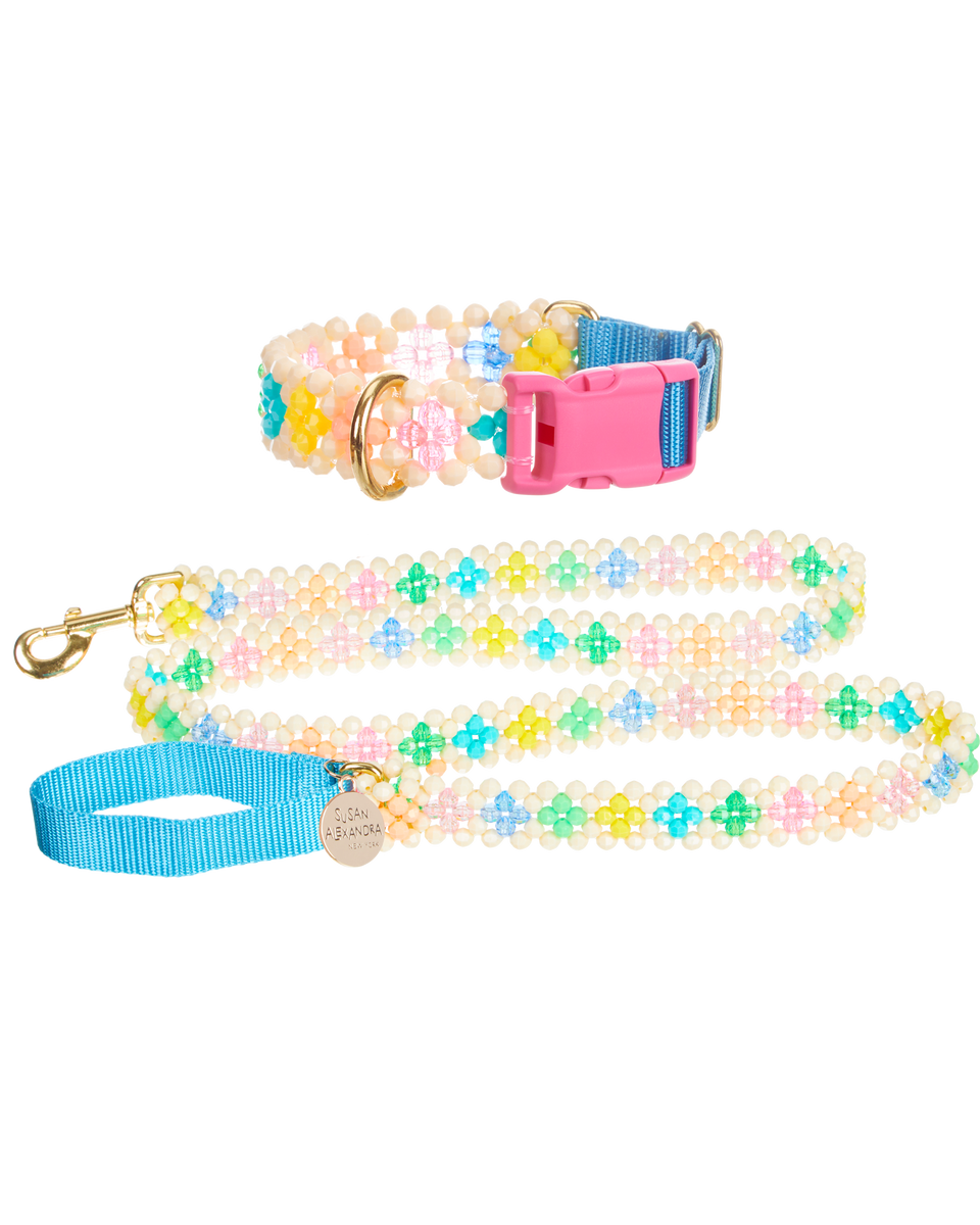 Dog Collar and Leash Susan Alexandra