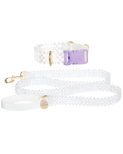 Load image into Gallery viewer, Dog Collar and Leash