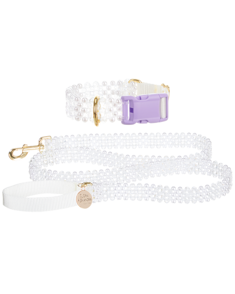 Dog Collar and Leash