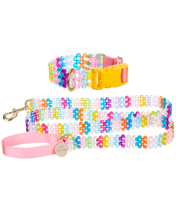 Load image into Gallery viewer, Dog Collar and Leash