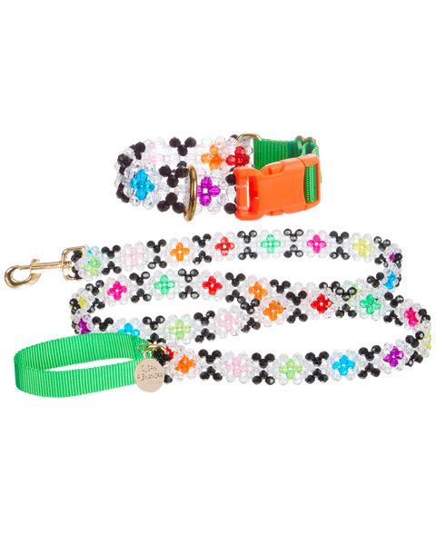Dog Collar and Leash