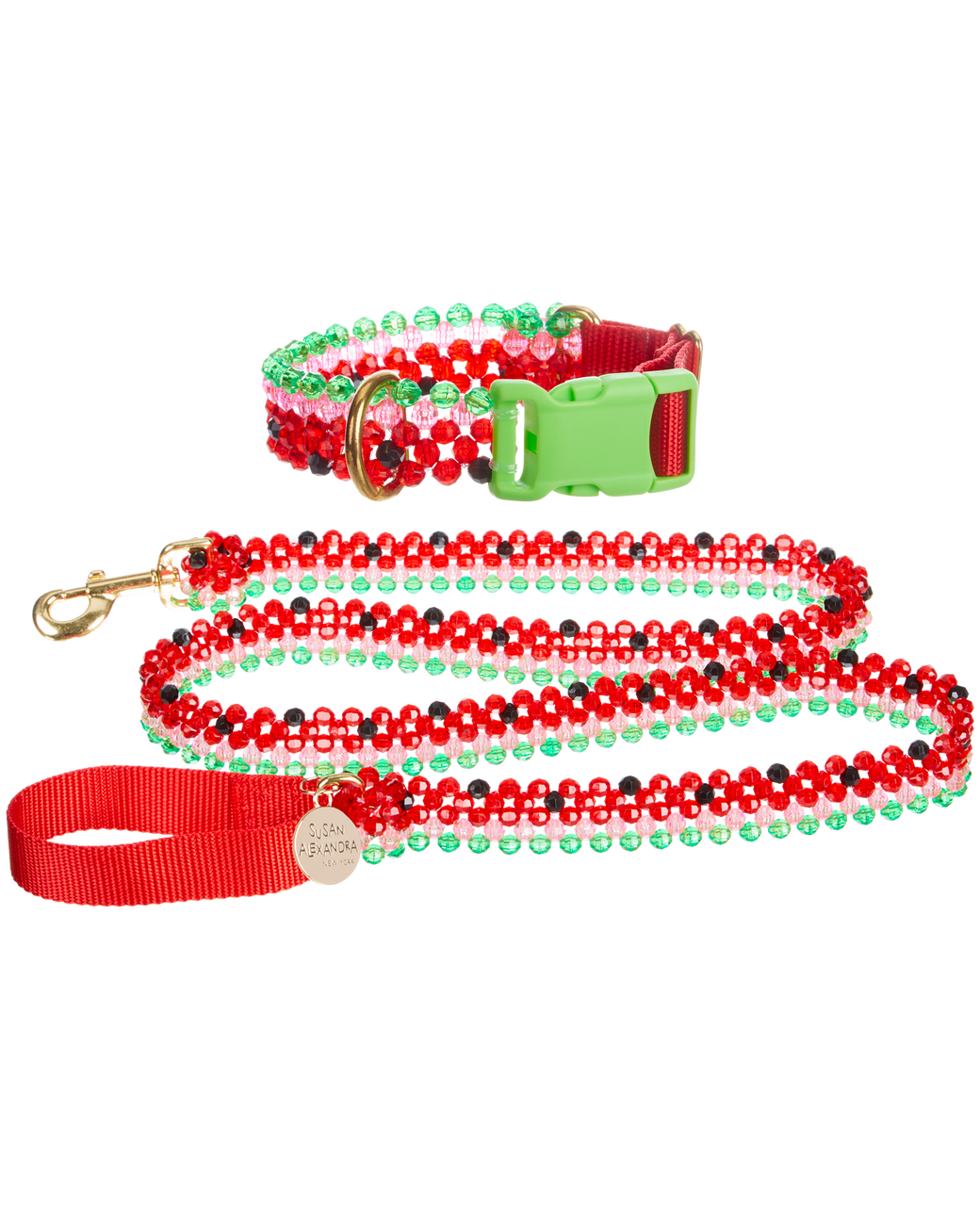 Dog Collar and Leash