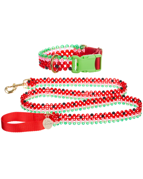 Dog Collar and Leash