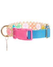 Load image into Gallery viewer, Dog Collar