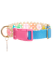 Dog Collar