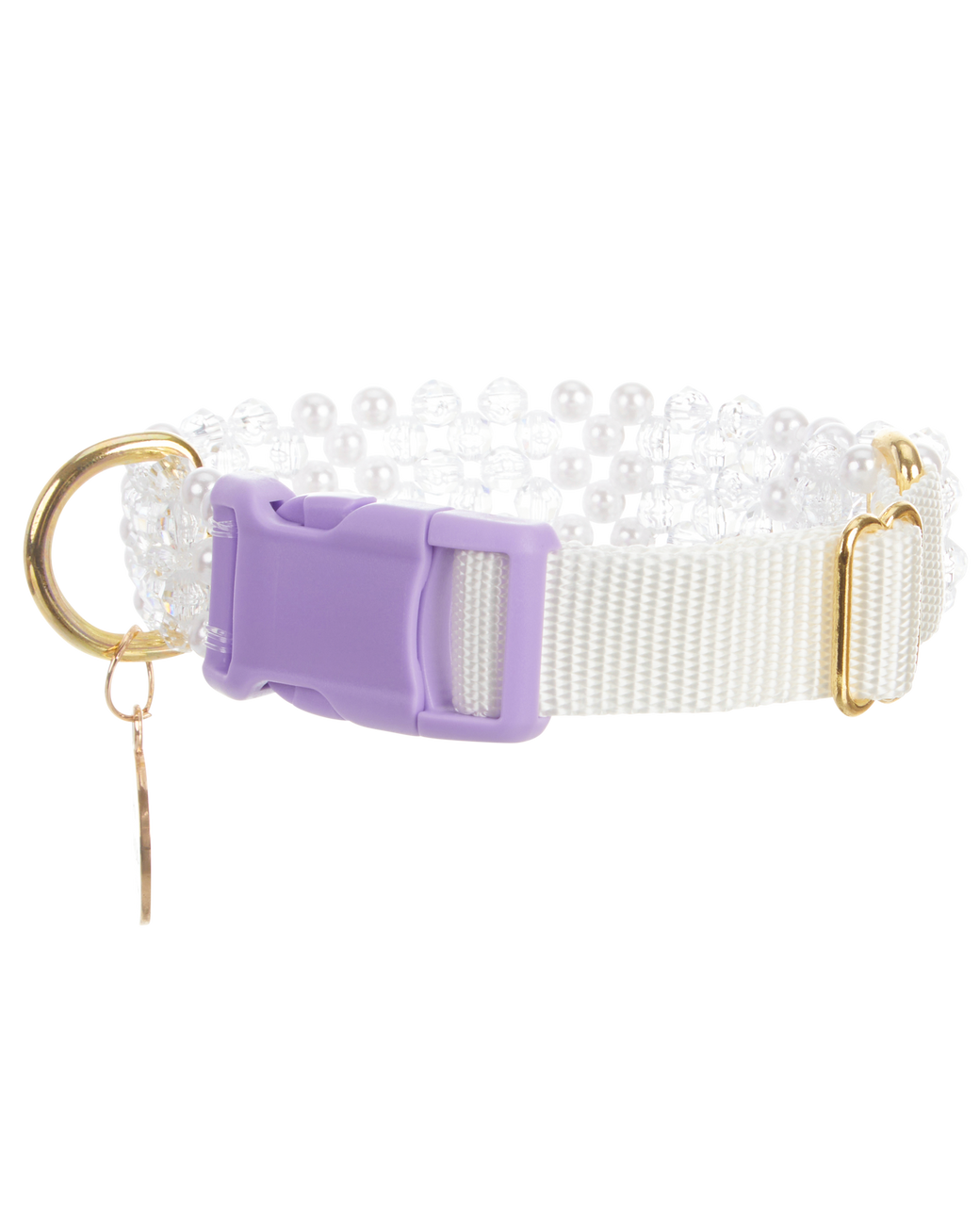 Dog Collar