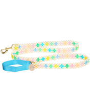 Load image into Gallery viewer, Dog Leash