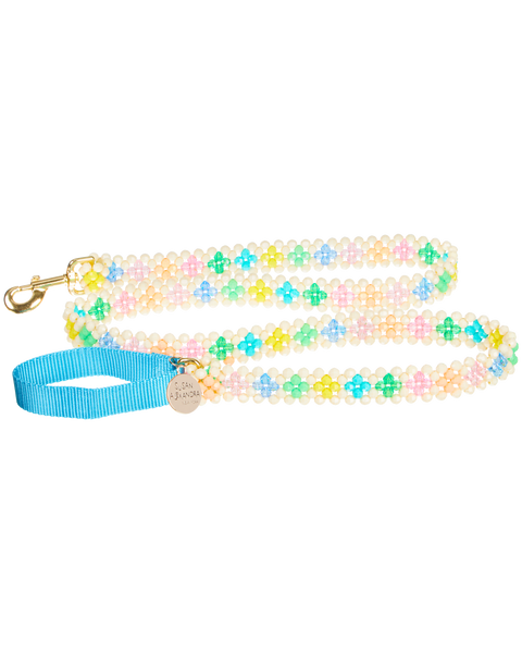 Dog Leash