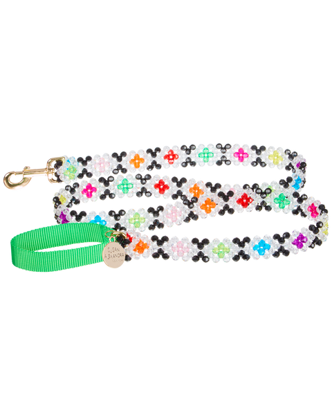 Dog Leash