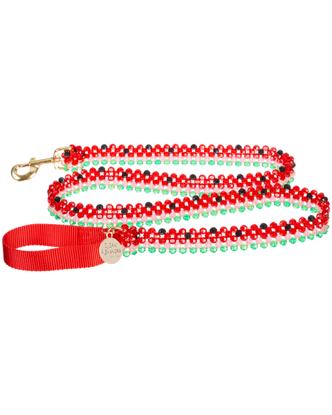 Dog Leash