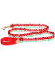 Dog Leash
