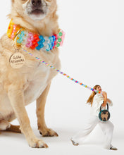 Load image into Gallery viewer, Dog Collar