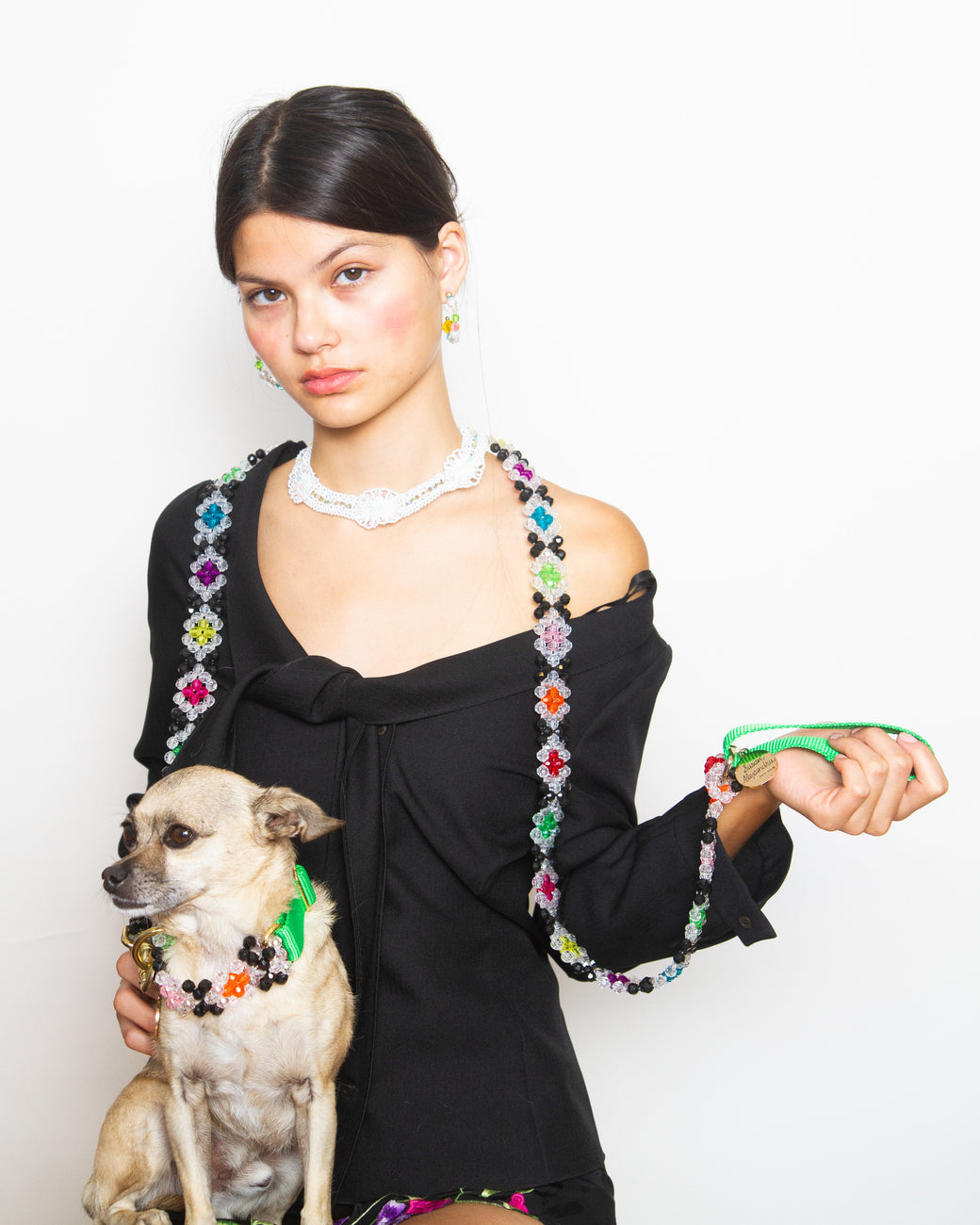 Dog Collar and Leash