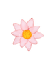 Waterlily Ramekins
