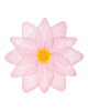 Waterlily Plates