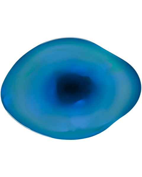 Pond Seder Plate