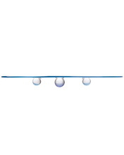 Load image into Gallery viewer, Pond Seder Plate