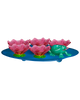 Pond Seder Plate Set