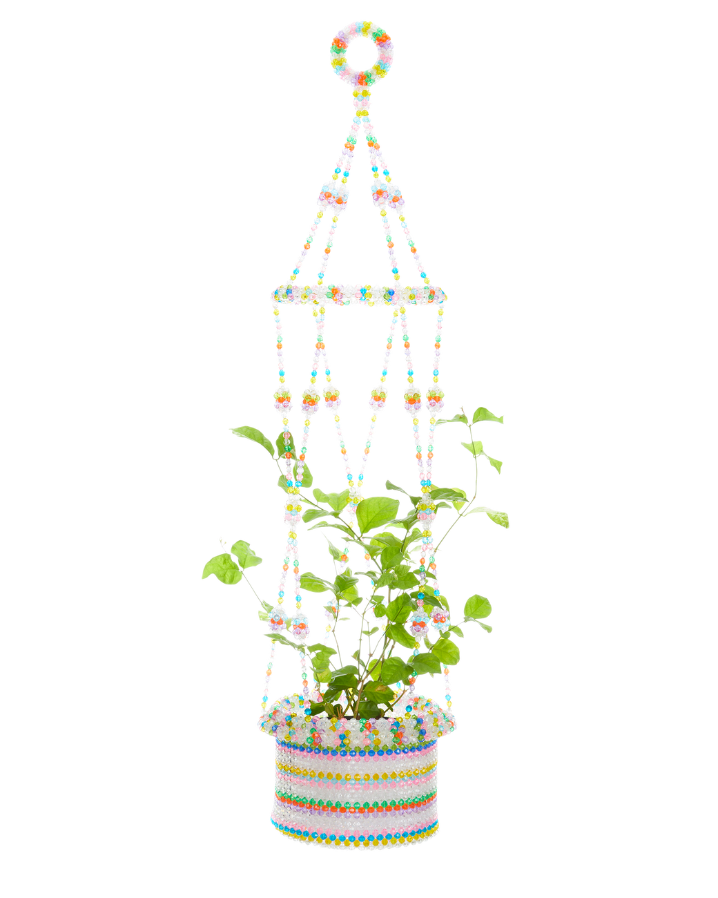 Hanging Planter