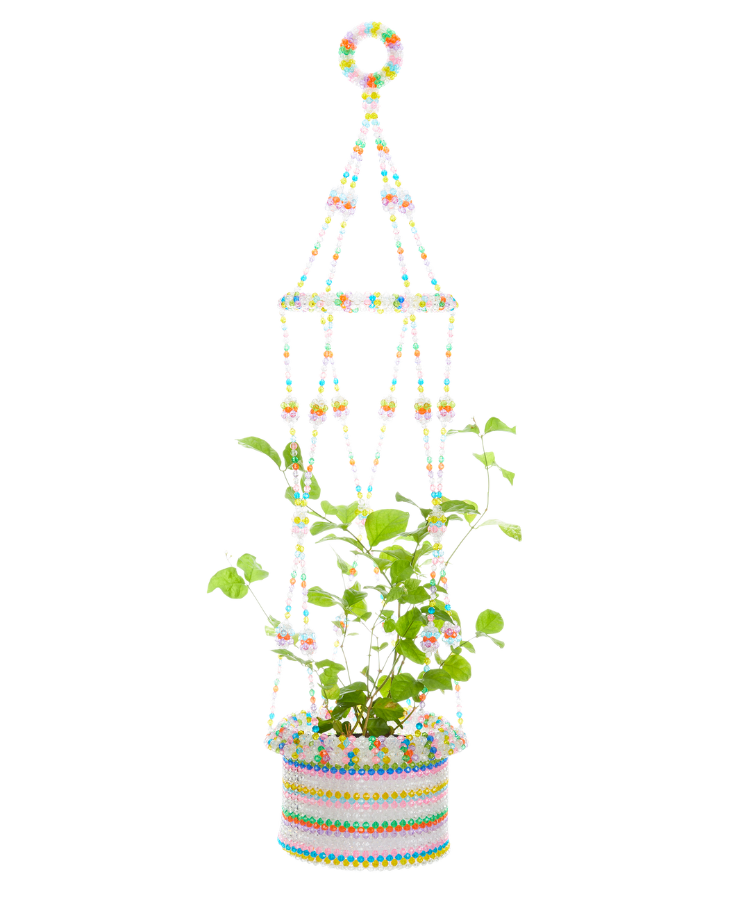 Hanging Planter