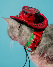 Load image into Gallery viewer, Dog Collar and Leash