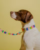 Dog Leash