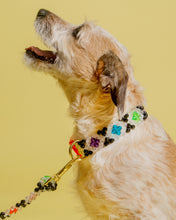 Load image into Gallery viewer, Dog Collar and Leash