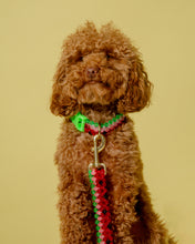 Load image into Gallery viewer, Dog Collar and Leash